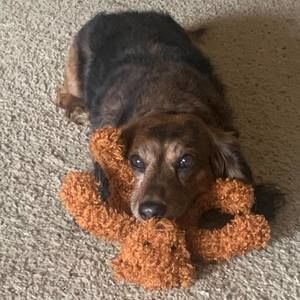 Meet your Posher, Doxi